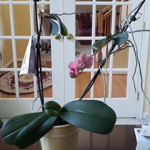 Meet your Posher, Howard